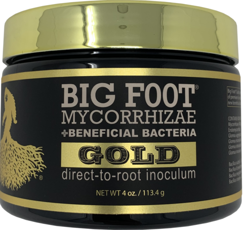 Bigfoot Mycorrhizae