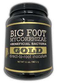 Bigfoot Mycorrhizae