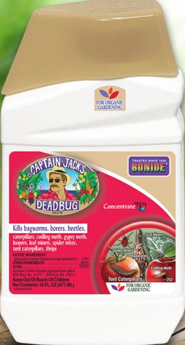 Captain Jack's Deadbug Brew Concentrate Pint