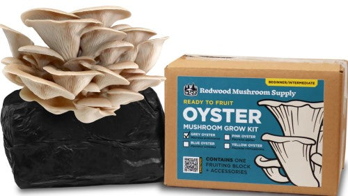 Redwood Mushroom Supply Fruiting Blocks 5 lb