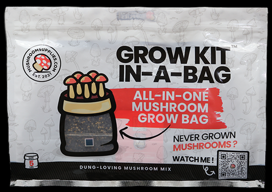 Mushroom Grow Kit in a Bag 5 lb