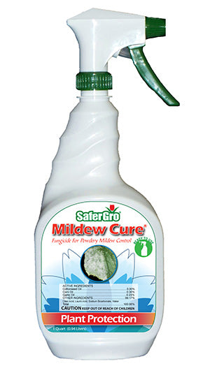 Safer Mildew Cure RTU and Concentrate