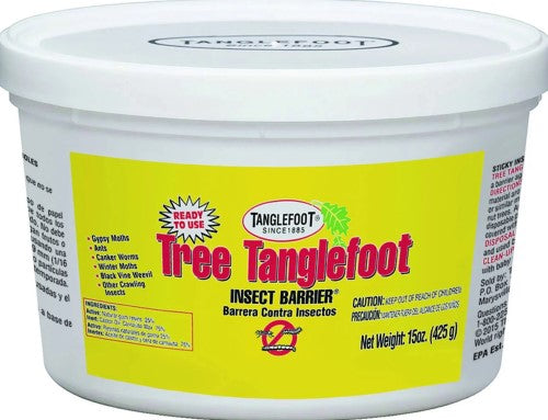 Tree Tanglefoot 15 oz tub
