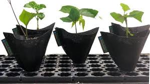 grow bags and heavy rain Rain Science Grow Bags – Kineo's Garden Center