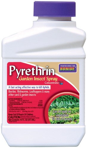 Bonide Pyrethrin concentrate Pint