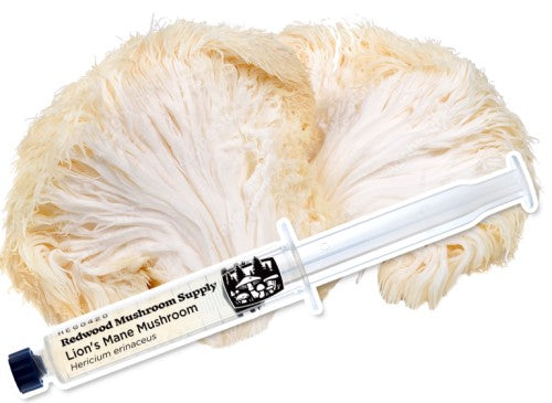 Mushroom Liquid Cultures 10 cc Syringe from Redwood Mushroom Supply