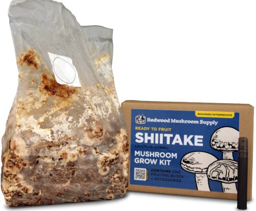Redwood Mushroom Supply Fruiting Blocks 5 lb